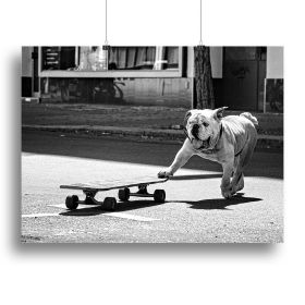 Dogs Just To Have Fun Canvas Print or Poster (Type: Standard Framed Canvas Print, size: 16" x 12" / 42cm x 30cm approx)