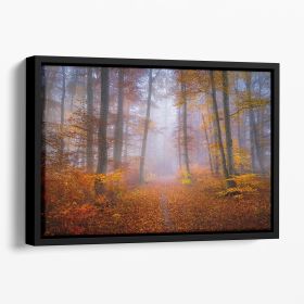 October Trail Floating Framed Canvas (Color: Black, size: 24" x 16" / 60cm x 40cm (approx))
