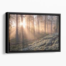 Fog In The Forest With White Moss In The Forground Floating Framed Canvas (Color: Black, size: 40" x 26" / 100cm x 65cm (approx))