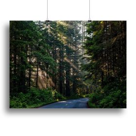 Landscape Forest Canvas Print or Poster (Type: Standard Framed Canvas Print, size: 24" x 16" / 60cm x 40cm (approx))