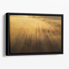 Morning In The Forest Floating Framed Canvas (Color: Black, size: 40" x 26" / 100cm x 65cm (approx))