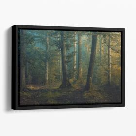 October Colors Floating Framed Canvas (Color: Black, size: 40" x 26" / 100cm x 65cm (approx))