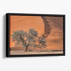 Acacia In The Desert Floating Framed Canvas (Color: Black, size: 40" x 26" / 100cm x 65cm (approx))