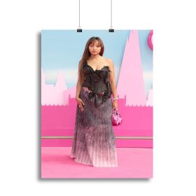 PinkPantheress at the Barbie premiere Canvas Print or Poster (Type: Standard Framed Canvas Print, size: 12" x 8" / 30cm x 20cm approx)