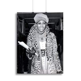 Tina Turner in leopard Canvas Print or Poster (Type: Standard Framed Canvas Print, size: 12" x 8" / 30cm x 20cm (approx))