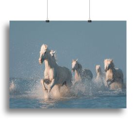 Angels of Camargue Canvas Print or Poster (Type: Standard Framed Canvas Print, size: 32" x 24" / 80cm x 60cm approx)