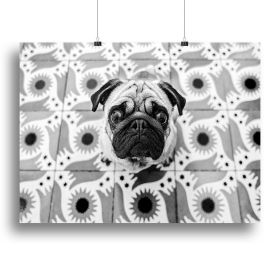 VudAo Canvas Print or Poster (Type: Poster Print, size: 40" x 26" / 100cm x 65cm approx)