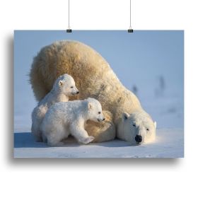 Mum Play together Canvas Print or Poster (Type: Standard Framed Canvas Print, size: 16" x 12" / 42cm x 30cm approx)