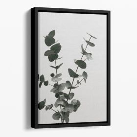Eucalyptus Natural 04 Floating Framed Canvas (Color: Black, size: 24" x 16" / 60cm x 40cm (approx))