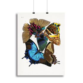 Butterflies Part 16 Canvas Print or Poster (Type: Standard Framed Canvas Print, size: 32" x 24" / 80cm x 60cm approx)
