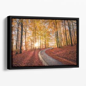 Road In Sapderaysen Nationalpark Sweden Floating Framed Canvas (Color: Black, size: 12" x 8" / 30cm x 20cm (approx))