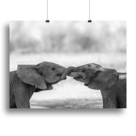 Greetings Canvas Print or Poster (Type: Poster Print, size: 24" x 16" / 60cm x 40cm approx)