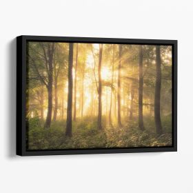It's Nice To Love Floating Framed Canvas (Color: Black, size: 16" x 12" / 42cm x 30cm (approx))