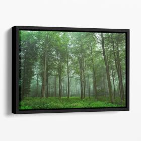 Forest View Floating Framed Canvas (Color: Black, size: 16" x 12" / 42cm x 30cm (approx))