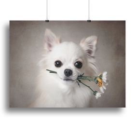 Chihuahua with flowers Canvas Print or Poster (Type: Poster Print, size: 24" x 16" / 60cm x 40cm approx)