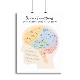 Brain Functions Canvas Print or Poster (Type: Standard Framed Canvas Print, size: 32" x 24" / 80cm x 60cm approx)