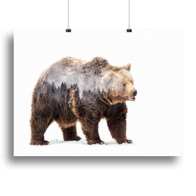Bear Canvas Print or Poster (Type: Standard Framed Canvas Print, size: 12" x 8" / 30cm x 20cm approx)