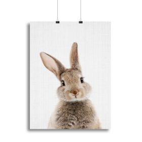Peekaboo Bunny Canvas Print or Poster (Type: Standard Framed Canvas Print, size: 12" x 8" / 30cm x 20cm approx)